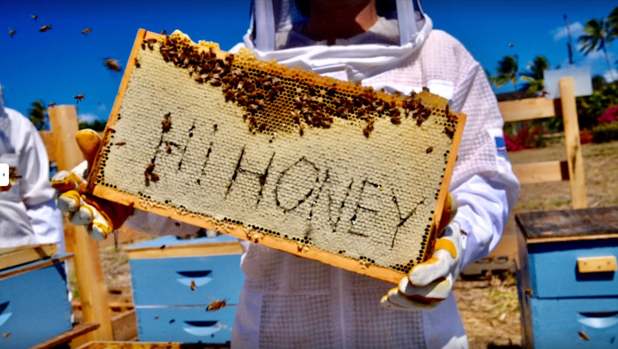 Hi Honey Farm photo 1 in Waialua