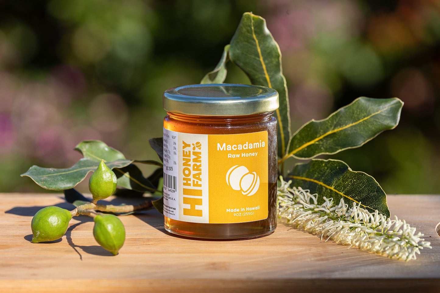 Macadamia Honey