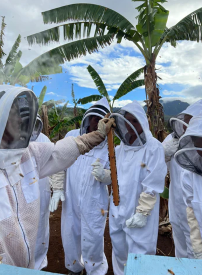 Apiary Tour & Honey Tasting Gift Certificate